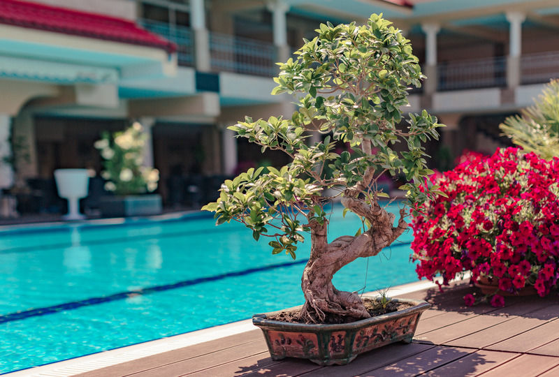 Vox Maris Grand Resort (Adults Only) コスティネシュティ エクステリア 写真
